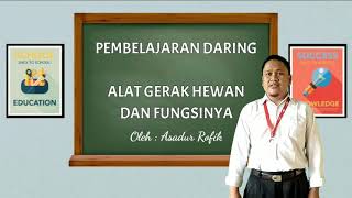 KELAS 5 TEMA 1 SUBTEMA 1 | IPA | ALAT GERAK HEWAN DAN FUNGSINYA