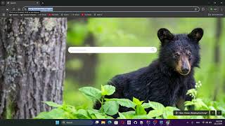 3. Admin login və ModelMapper