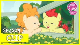 Bright Mac meets Pear Butter (The Perfect Pear) | MLP: FiM [HD]