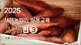 고구마 재배기술 ㅣ 2025년 새해농업인실용교육