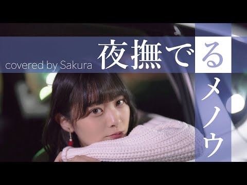 夜撫でるメノウ_Ayase covered by Sakura