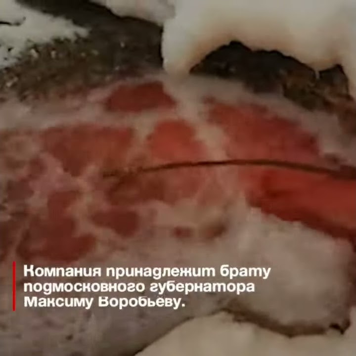 Кровавая река в Корелии. - YouTube