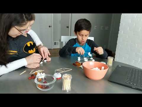Fun STEM Activity For Kids - Building Bridges