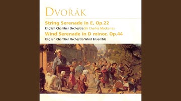 Serenade for Strings in E Major, Op. 22, B. 52: IV. Larghetto