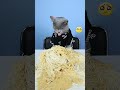 Look At Those Stray Cats! NO MORE WASTING!😢😢| Cat TikTok Challenge  #funnycat #catsoftiktok  #shorts