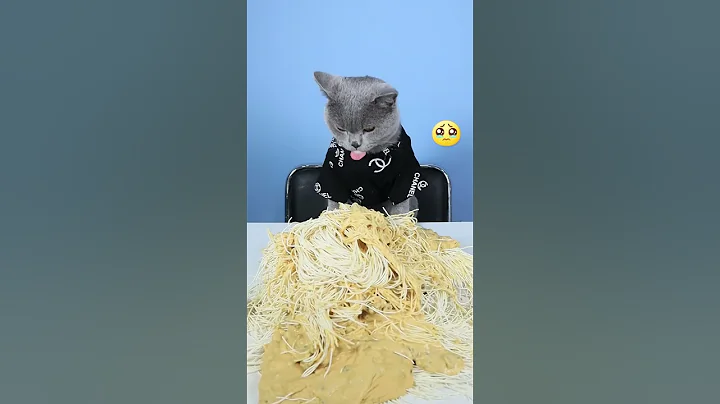 Look At Those Stray Cats! NO MORE WASTING!😢😢| Cat TikTok Challenge  #funnycat #catsoftiktok  #shorts - DayDayNews