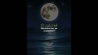 Аль Касас  Sheikh Salah Bukhatir