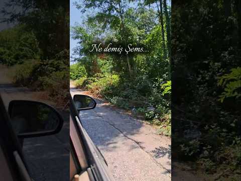 What Did Shams Say Discoverdream Discover Shortsfeed Shots Shams Motivation Motivational 