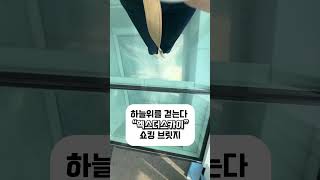 부산엑스더스카이 영상