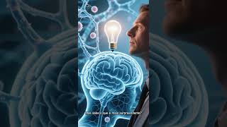 Como Funciona O Cérebro Humano