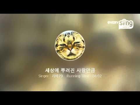 [everysing] 세상에 뿌려진 사랑만큼