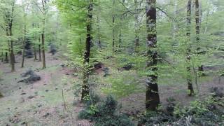 National park of Aspromonte Calabria south Italy