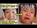 【GTA5】調子に乗る小学生がガチ勢に成敗されて、、、、