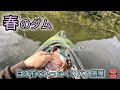 油断してたらひったくりに遭いました【トップウォーター】