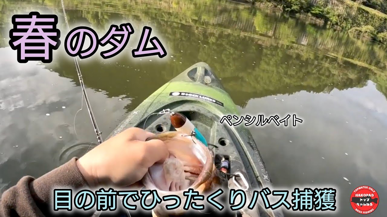 油断してたらひったくりに遭いました【トップウォーター】