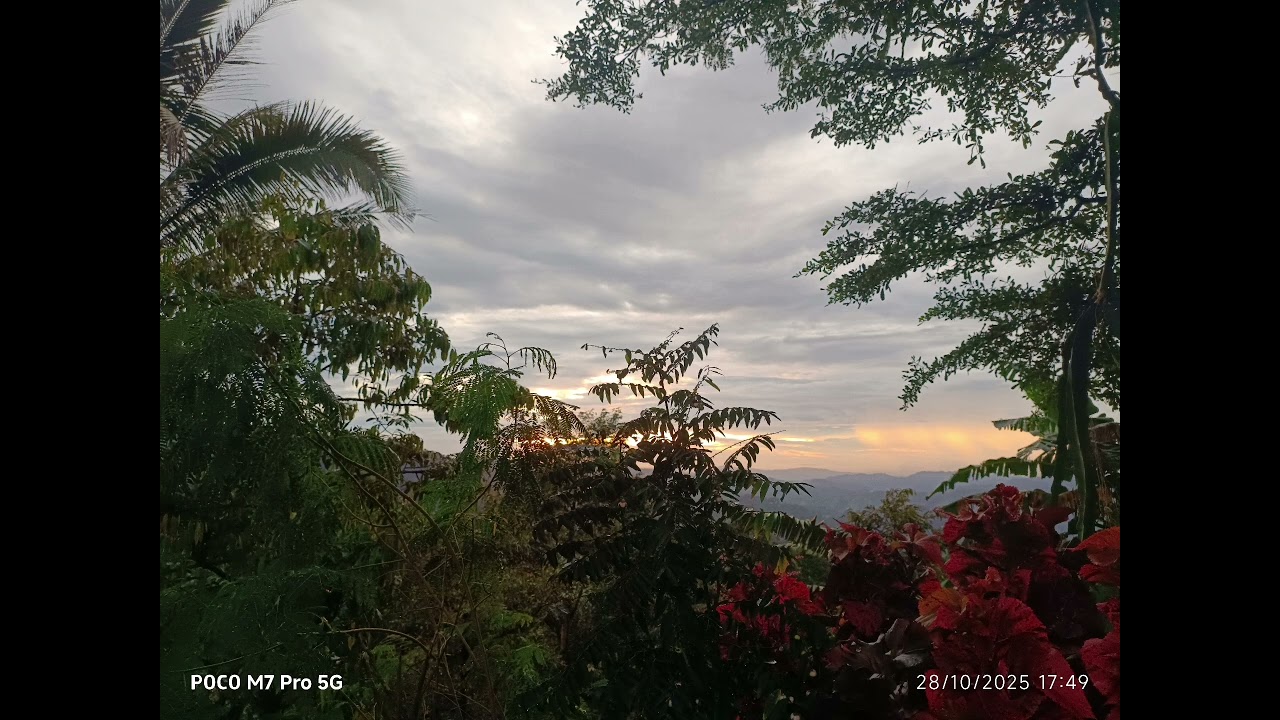 โลกเสมือนสู่ความจริง