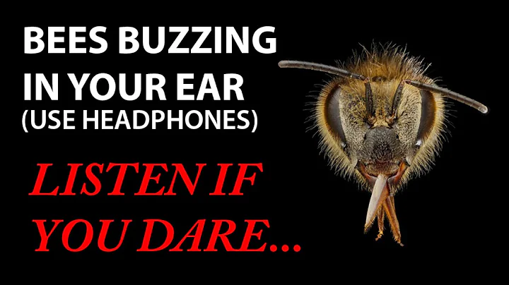BEES BUZZING IN YOUR EAR! (Virtual 3D Sound) Zucca...