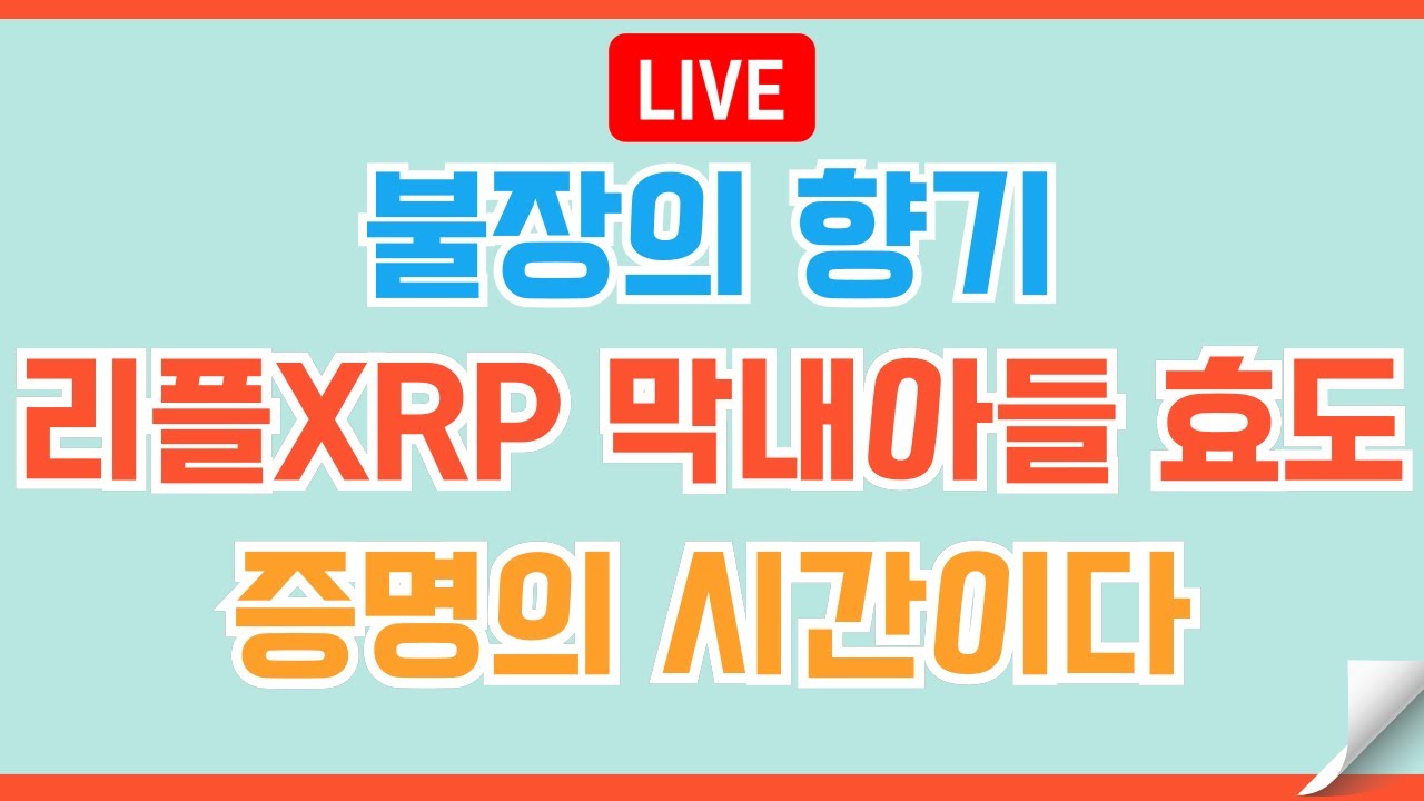 어슴새벽 유튜브 채널 분석 보고서 - NoxInfluencer