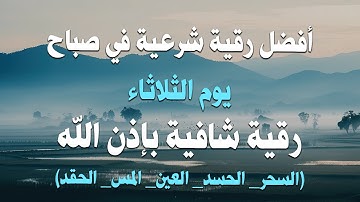 أفضل رقية شرعية في صباح يوم الاثنين علاج الحسد_السحر_العين _حفظ وتحصين للمنزل _القارئ علاء عقل