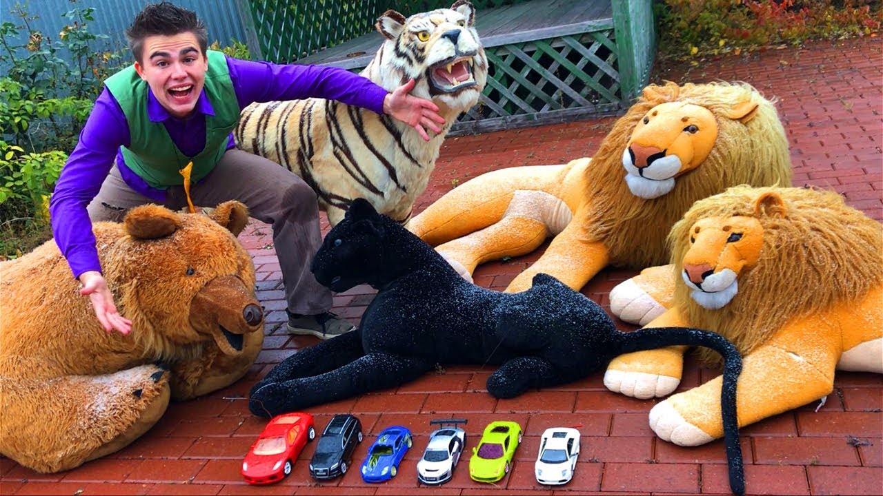 Mr. Joe on Chevy Camaro found A LOT OF Toy Cars in Zoo with Tigris VS Lion VS Bear for Kids