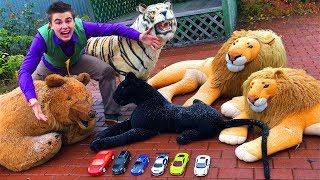 Mr. Joe On Chevy Camaro Found A Lot Of Toy Cars In Zoo With Tigris Vs Lion Vs Bear For Kids