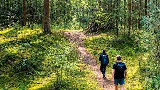 *HIKING* Weekly Walks - Overberg (Amerongse Berg With Marten)