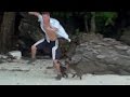 Guy attacked by two monkeys, Monkey bay, Ko Phi Phi Thailand