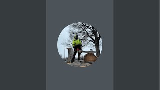 Thurman and son Trees  is live!