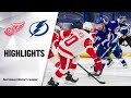 Red Wings @ Lightning 2/3/21 | NHL Highlights