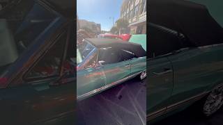 Show Shine Shag Dine 2025