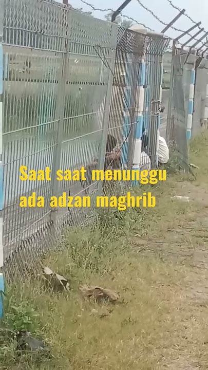 bedug maghrib yg di rindukan