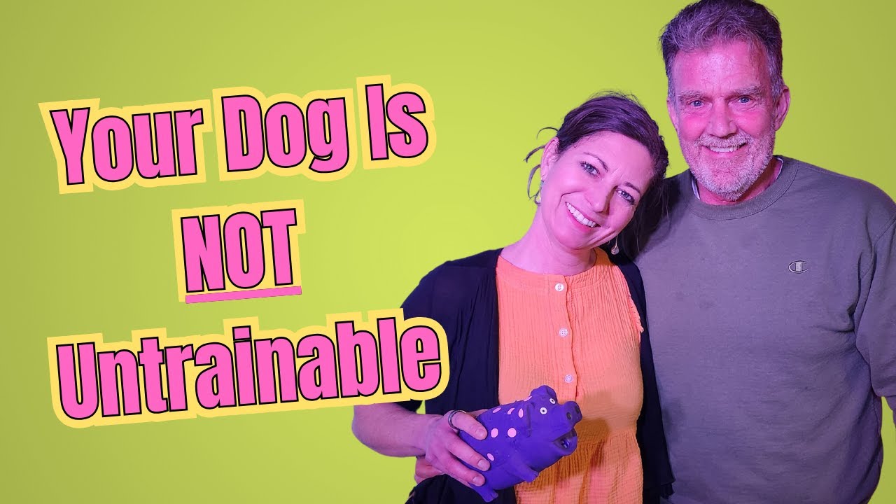 Is My Dog Untrainable? YouTube