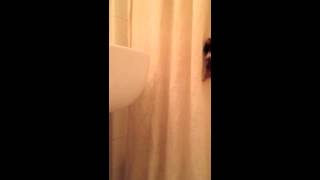Mission Impossible Hamster escape - Tom Cruise Net Worth