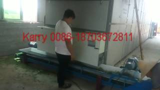 moringa leaf dryer/moringa leaf drying machine