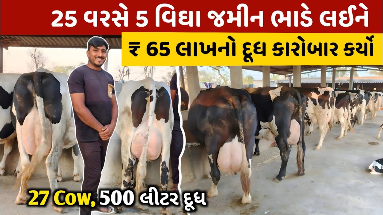 વિના જમીને 25 વરસના યુવાની વર્ષે ₹ 65 લાખ કમાની💰🏧Dairy Business Idea: 27 HF Cows, ₹65 Lakh Revenue! 