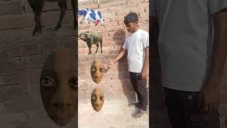 cow,, buffalo,, goat,, lion VFX magic //youtubeshorts#trending#shorts#funnyshortsfeed#comedy