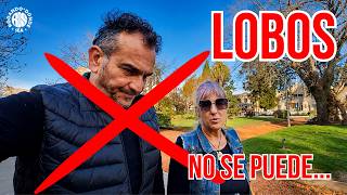❌EN LOBOS NO PUDIMOS-Navarro-Lobos Recorriendo la Prov. de Buenos Aires🐕‍🦺Rodando donde Sea🚐🚐