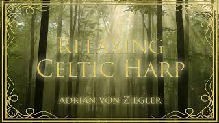 1 Hour of Relaxing Celtic Harp Music by Adrian von Ziegler 26,590 views 3 weeks ago 1 hour
