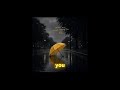 What I Was Looking For -pnda-mj