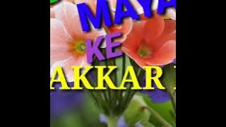 तोर माया के चक्कर मा || Tor Maya Ke Chakkar Ma || Prakash Dewagan || Cg Song ||