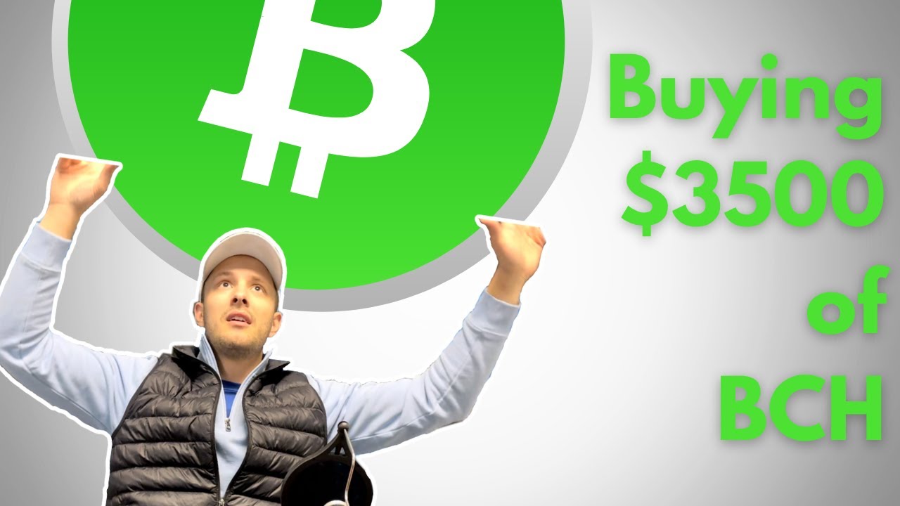 BUYING $3500 BCH • Buying Bitcoin Cash On The Dip 📉