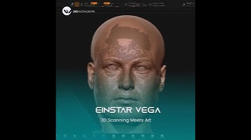 Einstar Vega | 3D Scanning Meets Art