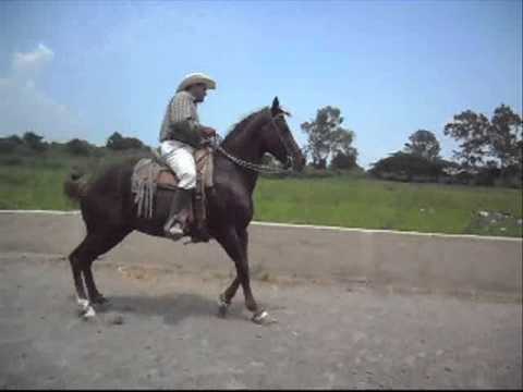 rancho EL MILAGRO de oscar razo - YouTube