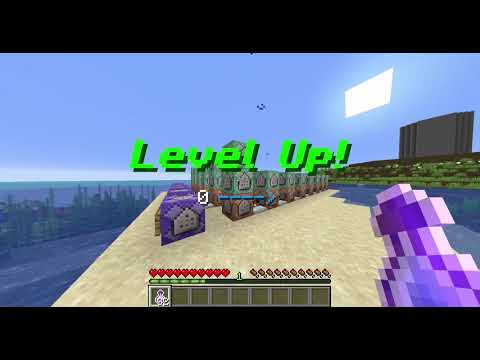 Level Up System V.1.0 Java Edition