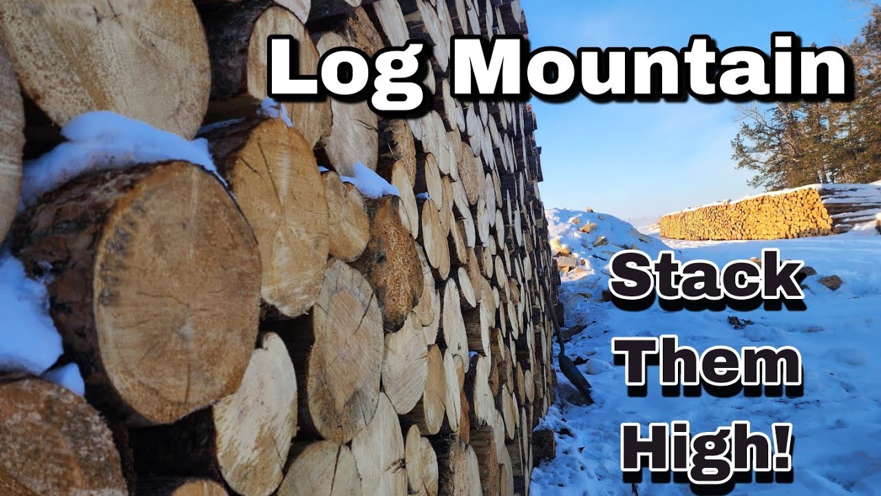 Log Mountain In The Wood Yard!