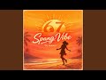 Spang Vibe 