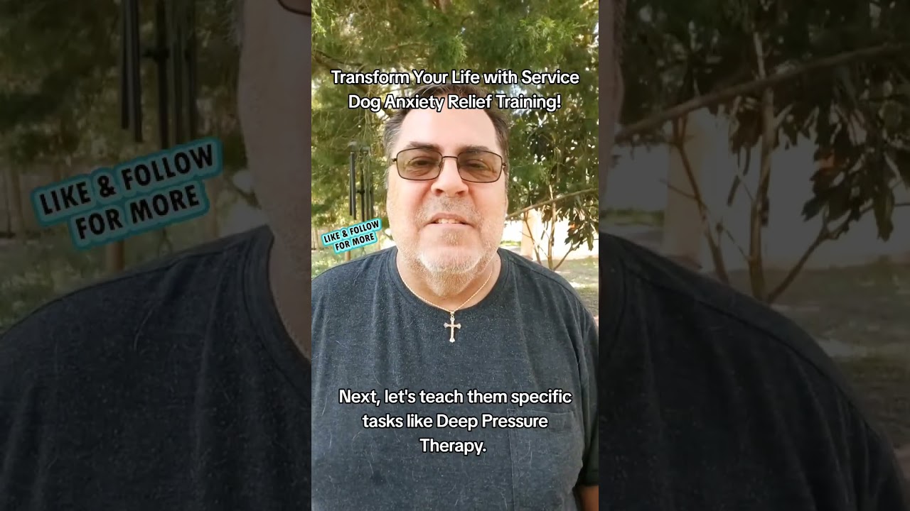 Transform Your Life with Service Dog Anxiety Relief Training! Ever wondered how your furry friend ca