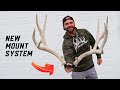 HOW I MOUNT MY SHED ANTLERS | SETS AND SINGLES