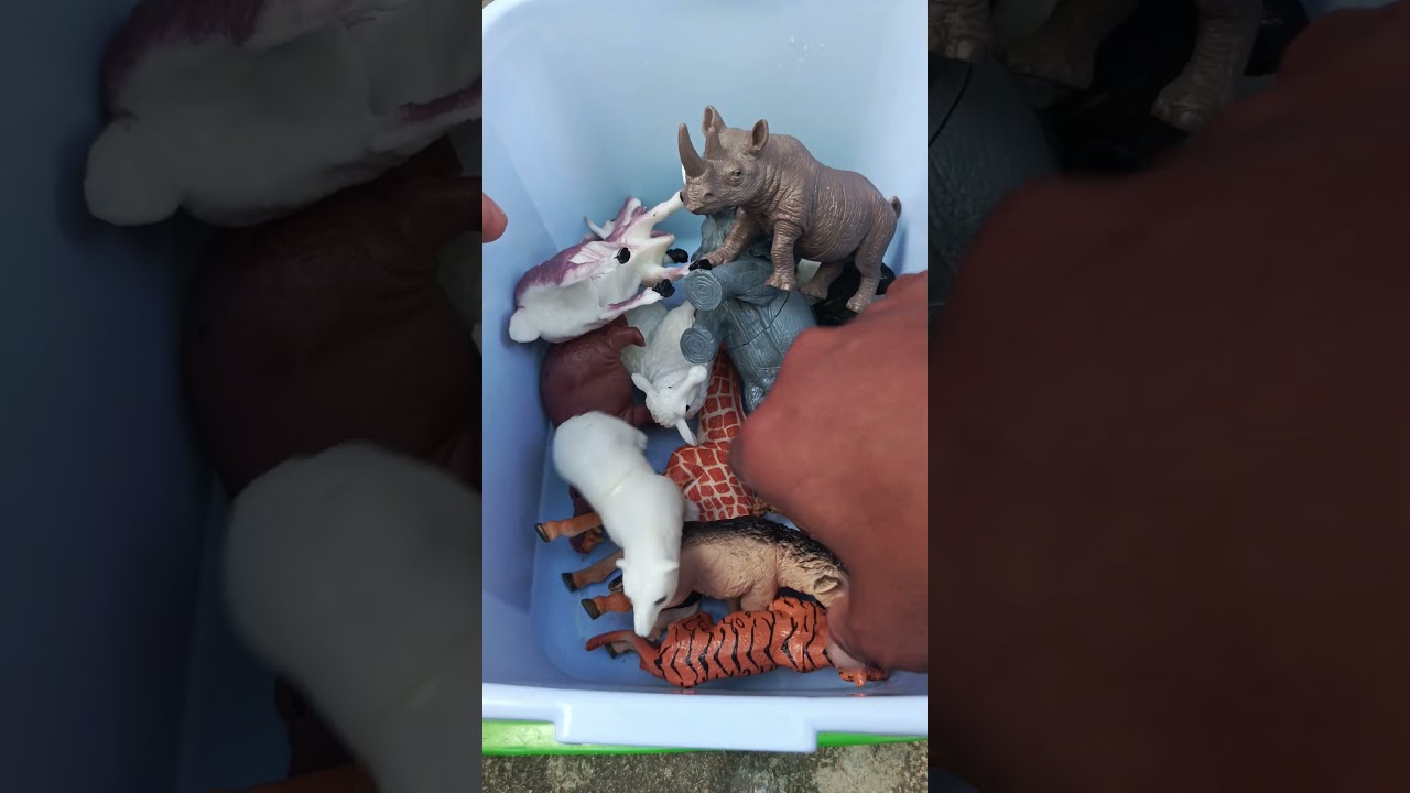 Satisfying Mini Animal Toys, ASMR Fun, Oddly Cute!  