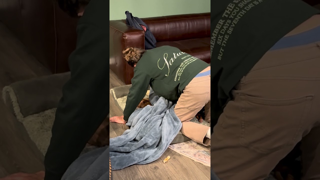 What Does a Girl Dog Dad Look Like?